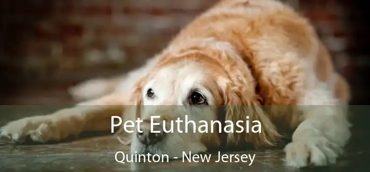 Pet Euthanasia Quinton - New Jersey
