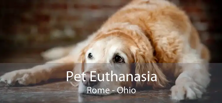 Pet Euthanasia Rome - Ohio