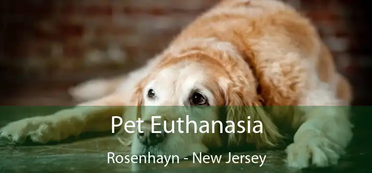 Pet Euthanasia Rosenhayn - New Jersey