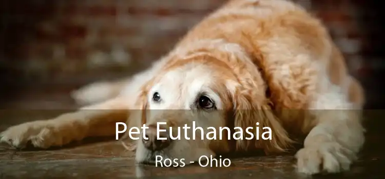 Pet Euthanasia Ross - Ohio