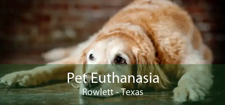 Pet Euthanasia Rowlett - Texas