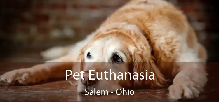 Pet Euthanasia Salem - Ohio