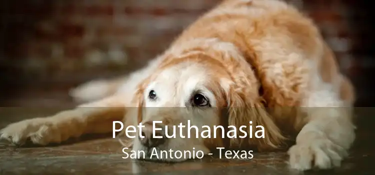 Pet Euthanasia San Antonio - Texas