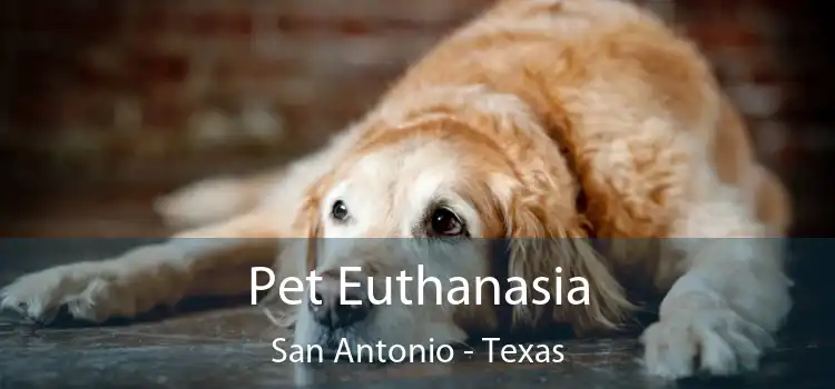 Pet Euthanasia San Antonio - Texas