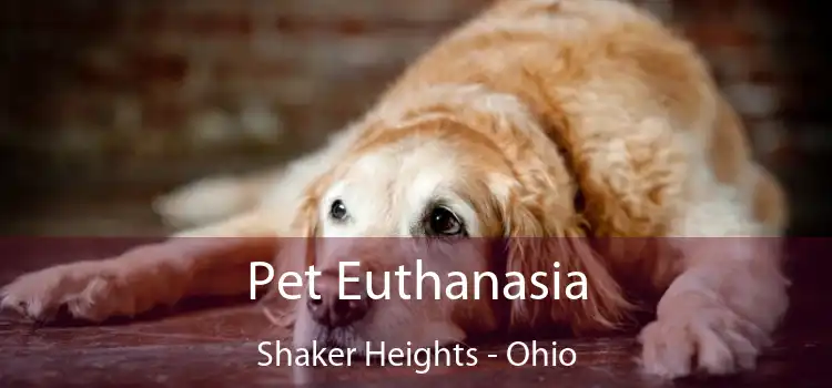 Pet Euthanasia Shaker Heights - Ohio
