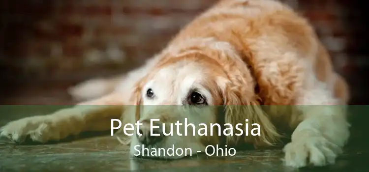 Pet Euthanasia Shandon - Ohio