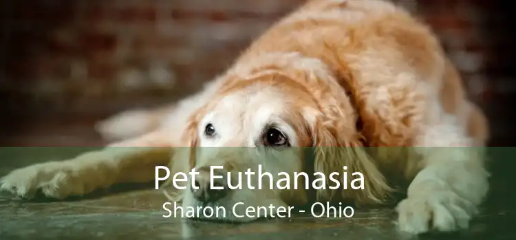 Pet Euthanasia Sharon Center - Ohio