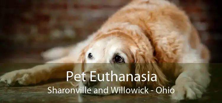 Pet Euthanasia Sharonville and Willowick - Ohio