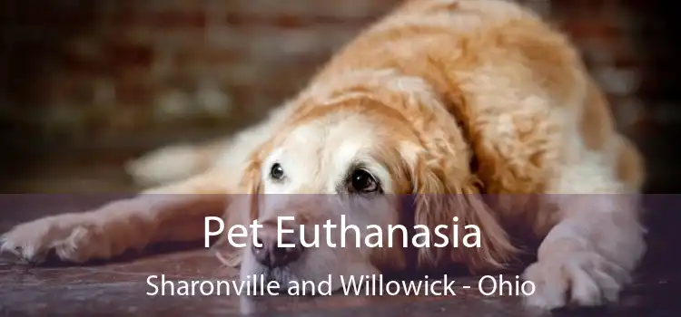 Pet Euthanasia Sharonville and Willowick - Ohio
