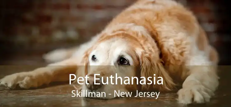 Pet Euthanasia Skillman - New Jersey