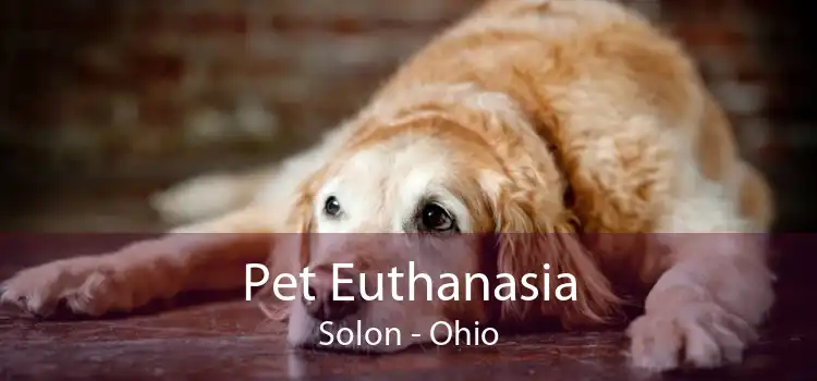 Pet Euthanasia Solon - Ohio
