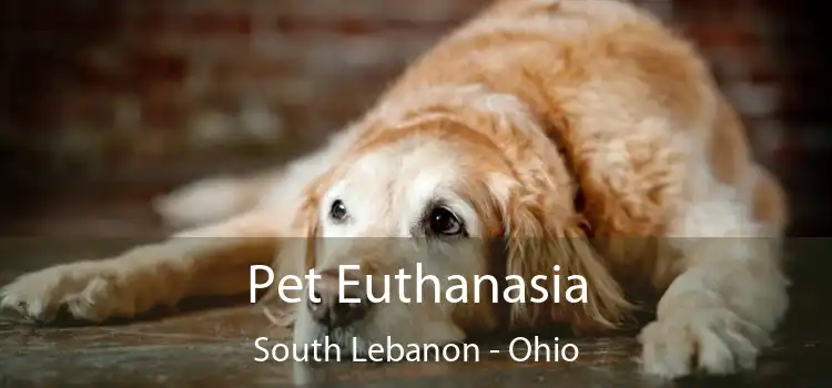 Pet Euthanasia South Lebanon - Ohio