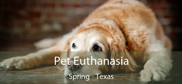 Pet Euthanasia Spring - Texas