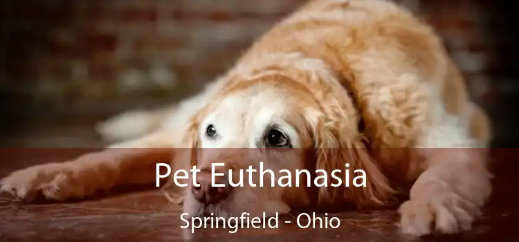 Pet Euthanasia Springfield - Ohio