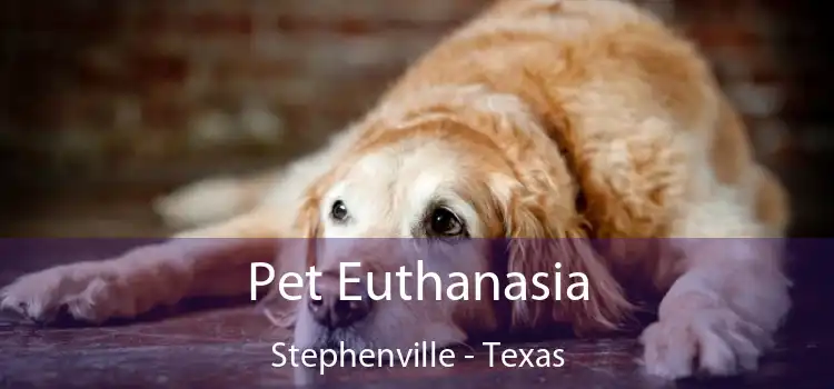 Pet Euthanasia Stephenville - Texas