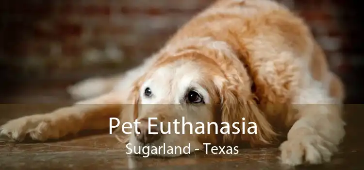 Pet Euthanasia Sugarland - Texas
