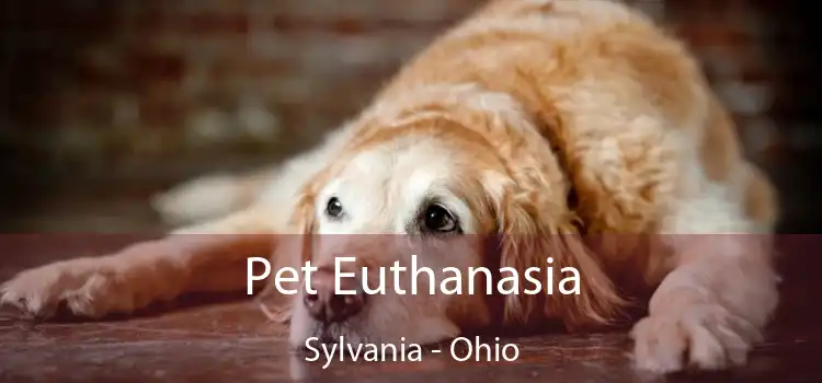 Pet Euthanasia Sylvania - Ohio