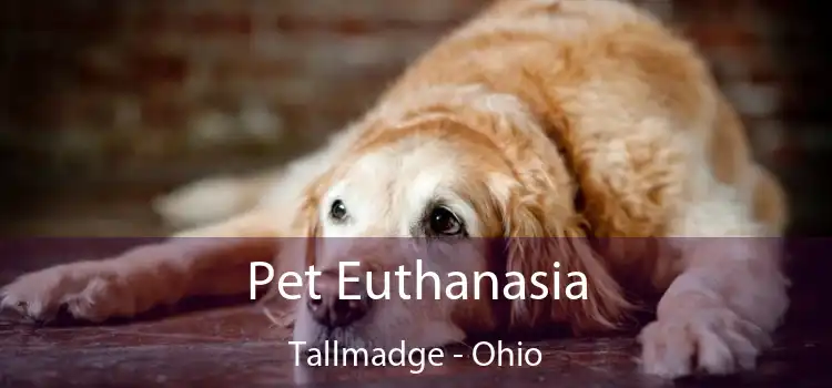 Pet Euthanasia Tallmadge - Ohio