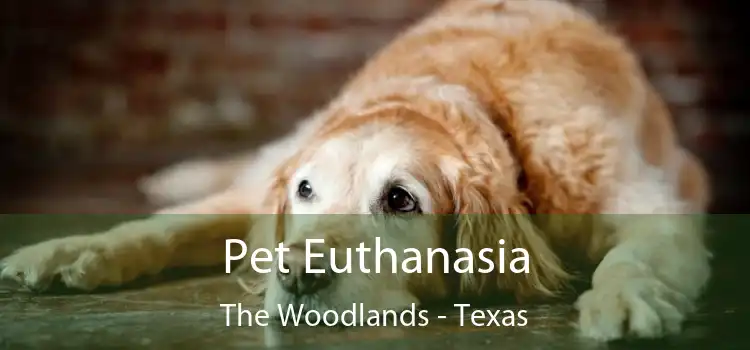 Pet Euthanasia The Woodlands - Texas