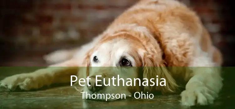 Pet Euthanasia Thompson - Ohio