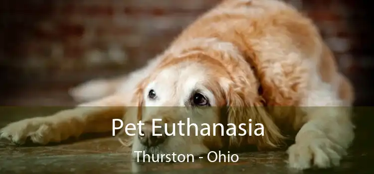 Pet Euthanasia Thurston - Ohio