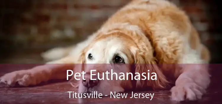 Pet Euthanasia Titusville - New Jersey