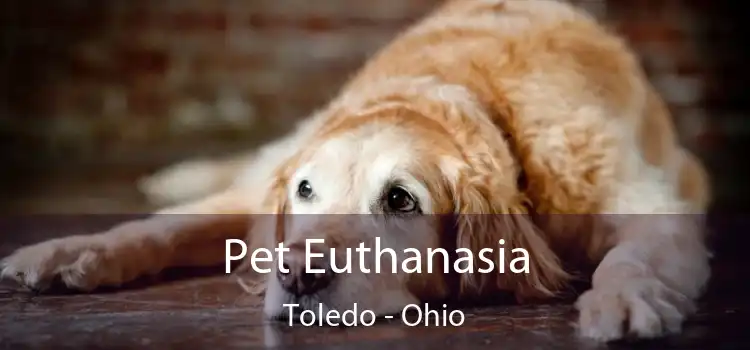 Pet Euthanasia Toledo - Ohio
