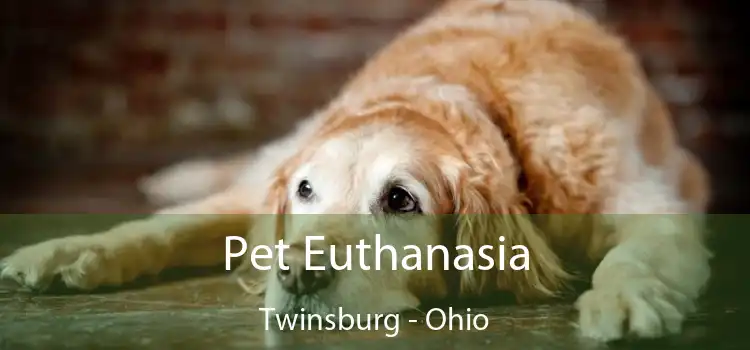 Pet Euthanasia Twinsburg - Ohio