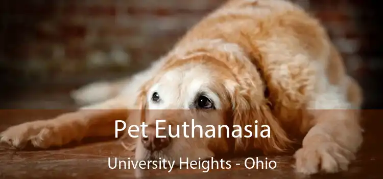 Pet Euthanasia University Heights - Ohio