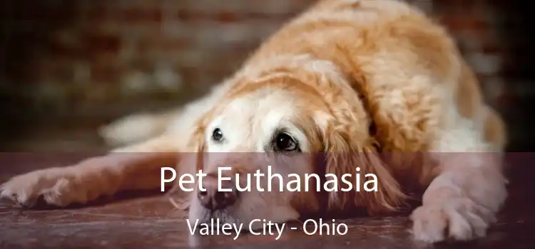 Pet Euthanasia Valley City - Ohio