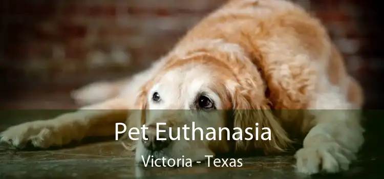 Pet Euthanasia Victoria - Texas