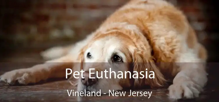 Pet Euthanasia Vineland - New Jersey