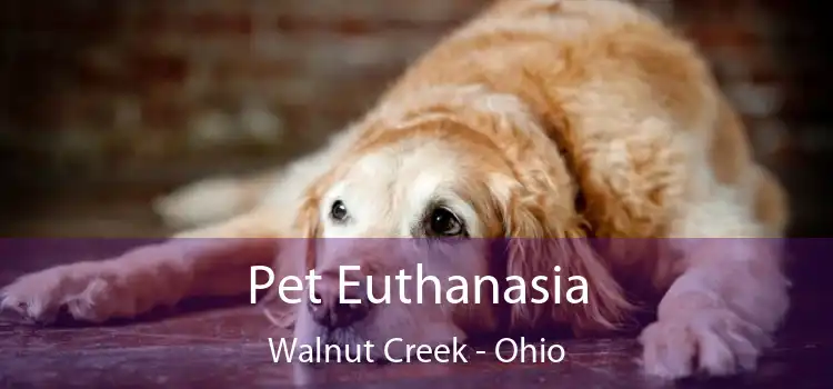 Pet Euthanasia Walnut Creek - Ohio