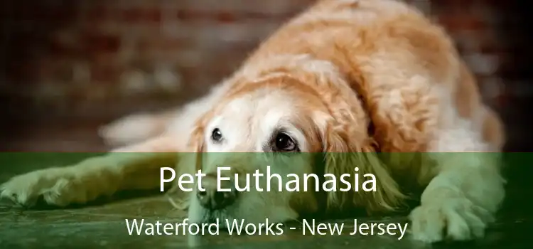Pet Euthanasia Waterford Works - New Jersey