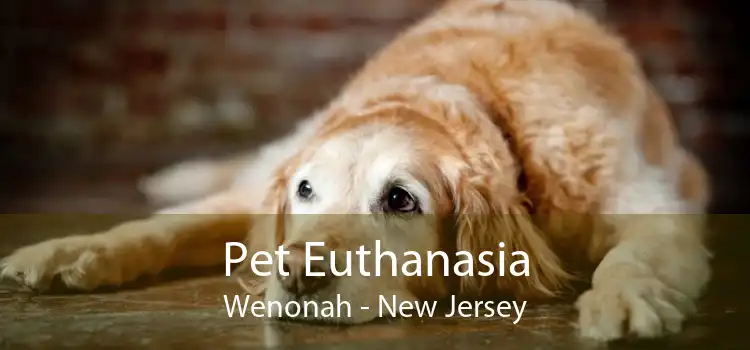 Pet Euthanasia Wenonah - New Jersey