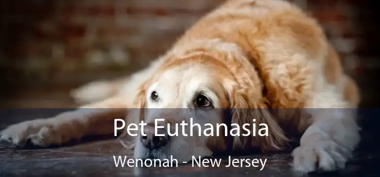 Pet Euthanasia Wenonah - New Jersey