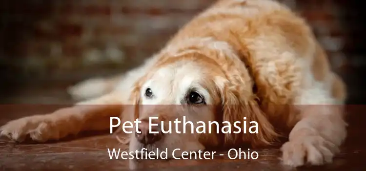 Pet Euthanasia Westfield Center - Ohio