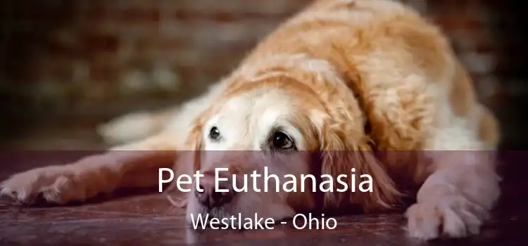 Pet Euthanasia Westlake - Ohio