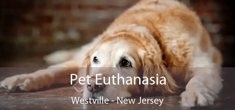 Pet Euthanasia Westville - New Jersey