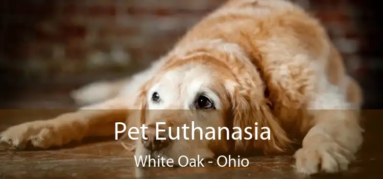 Pet Euthanasia White Oak - Ohio