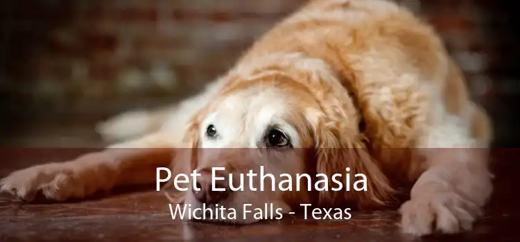 Pet Euthanasia Wichita Falls - Texas