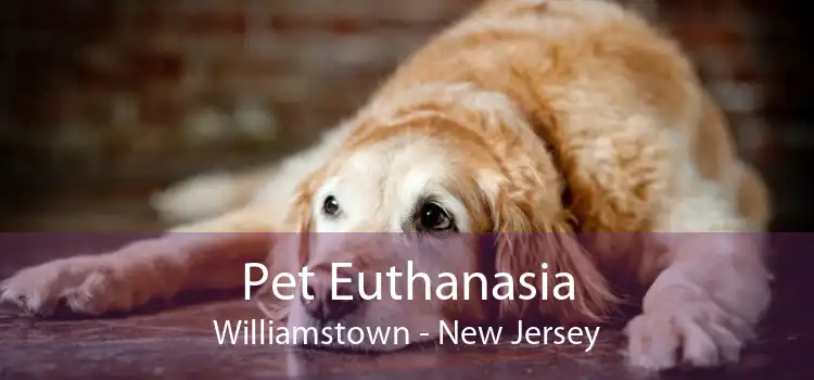 Pet Euthanasia Williamstown - New Jersey