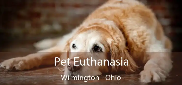 Pet Euthanasia Wilmington - Ohio