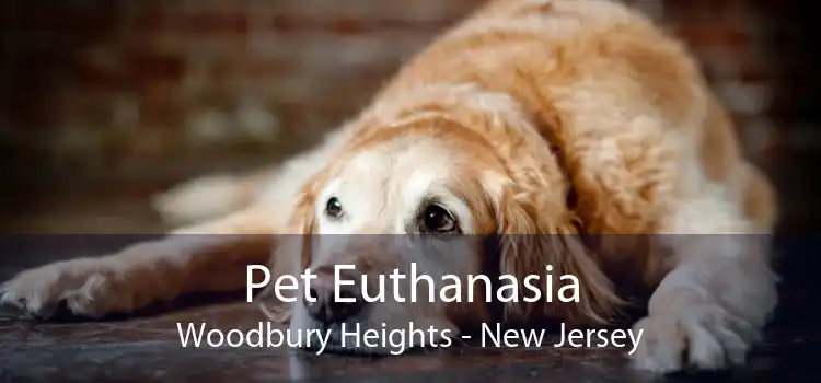 Pet Euthanasia Woodbury Heights - New Jersey