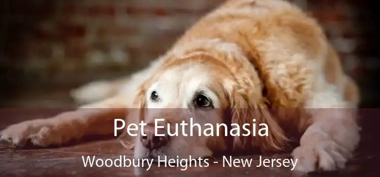 Pet Euthanasia Woodbury Heights - New Jersey