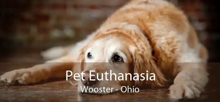 Pet Euthanasia Wooster - Ohio