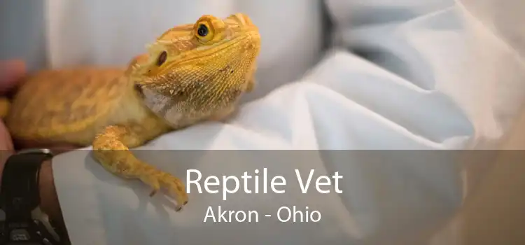 Reptile Vet Akron - 24 Hour Reptile Vet Near Me