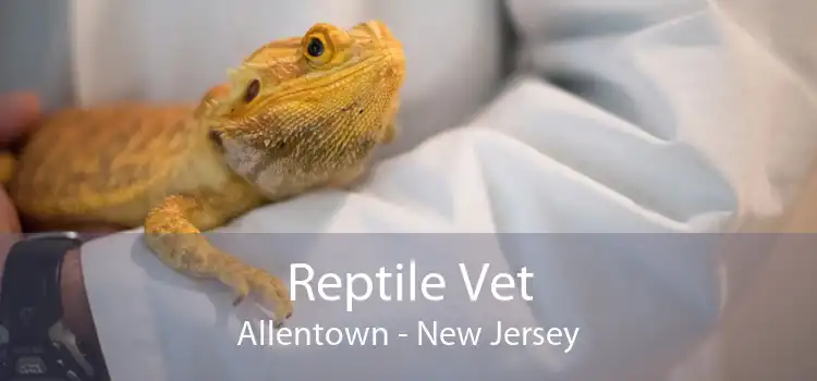 Reptile Vet Allentown - New Jersey