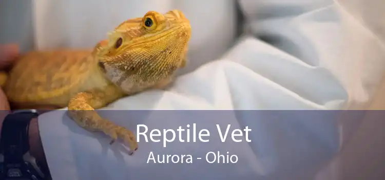 Reptile Vet Aurora - Ohio