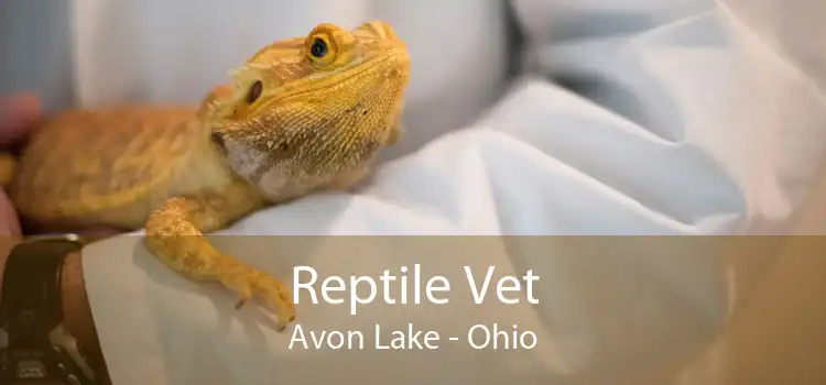Reptile Vet Avon Lake - Ohio